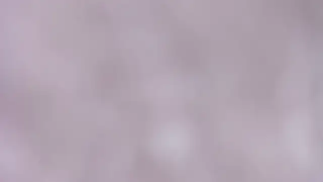 ariadna_dawson7