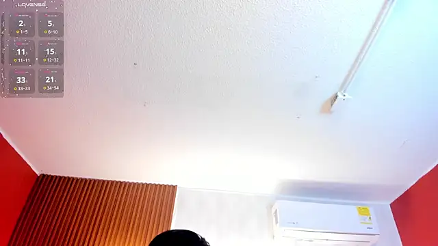 Ada__lee_