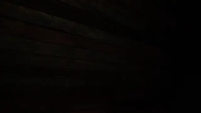 juliana_browns