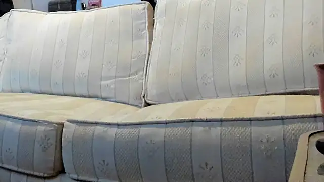 jayshort786