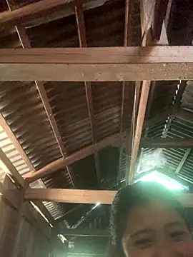 ThiHa003