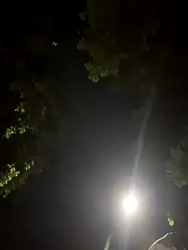 outdoors11 Live Webcam on Stripchat