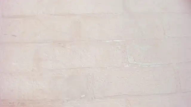 Luna_Tylor