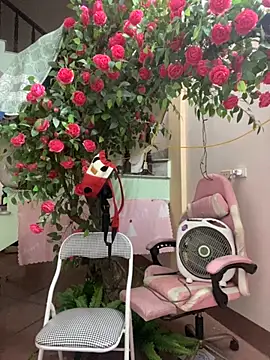 Bollozzy_89