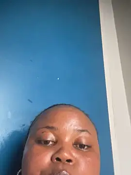 Curveysinaa
