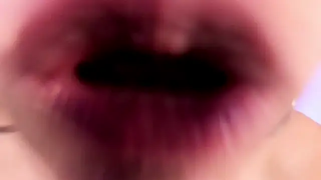 SamyShark