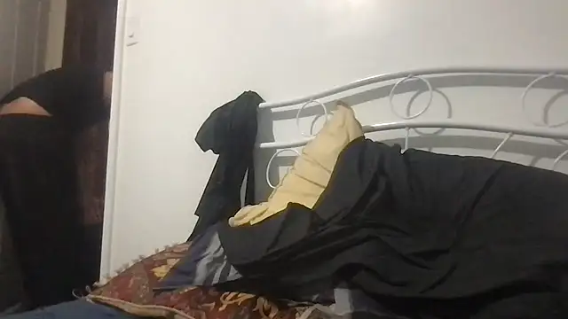 hami513
