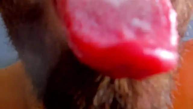 Preview of paul_phoenix