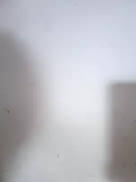 Lusty_fairy22