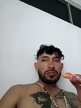 Kingbigcock23cm