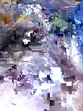 Antidotex_