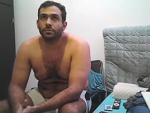 AlphaLatinoBear