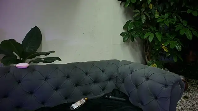 sharon_greey