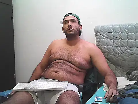 AlphaLatinoBear