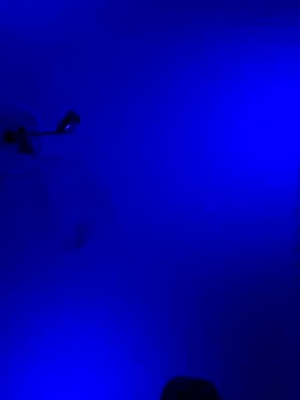 zitus888 - Zitus888's free webcam - UK Sex Cams