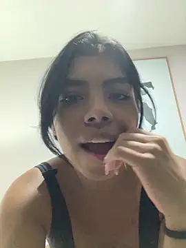 Dakotaferreti