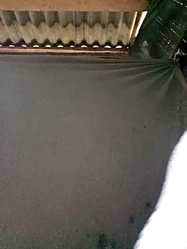 MaiHoa69