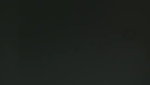 Meredit_Lane
