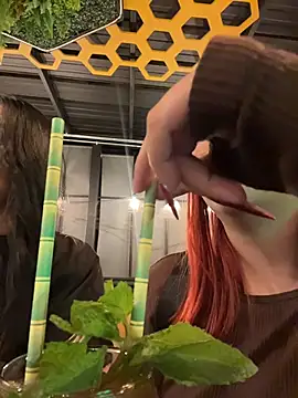 Preview of paulina-wells
