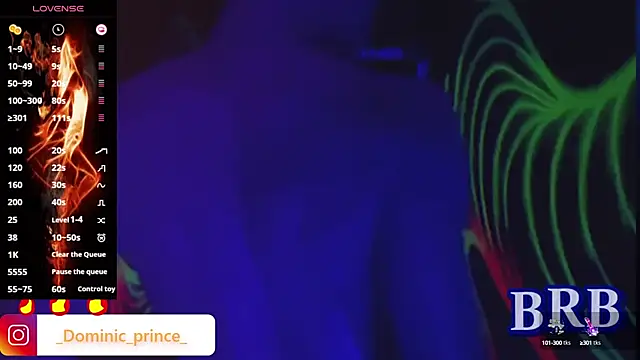 Preview of dominicprince