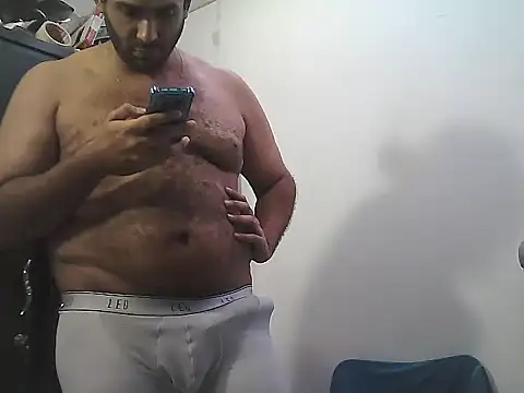 AlphaLatinoBear