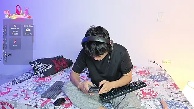 Dulozweb