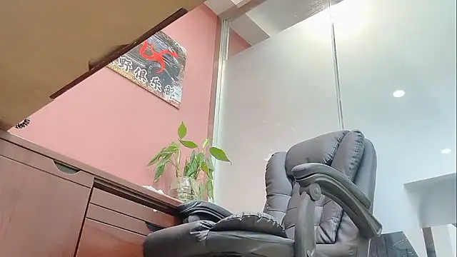 Maneki-nekoo webcam