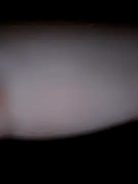 hungpenis210