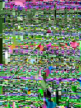  Sunny_lotus chat room