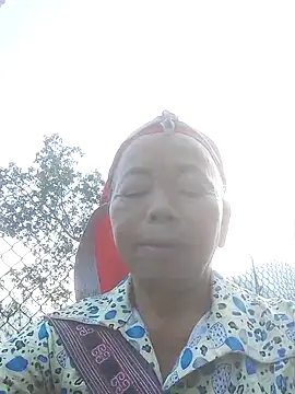 VangLe73