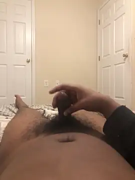 Preview of dddoggystacks