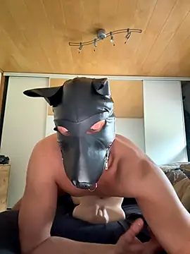 PlayDog123
