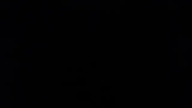 Letty_Plugxo