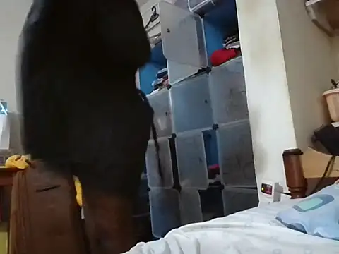 nasty_booty_