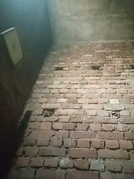 Notyriya7