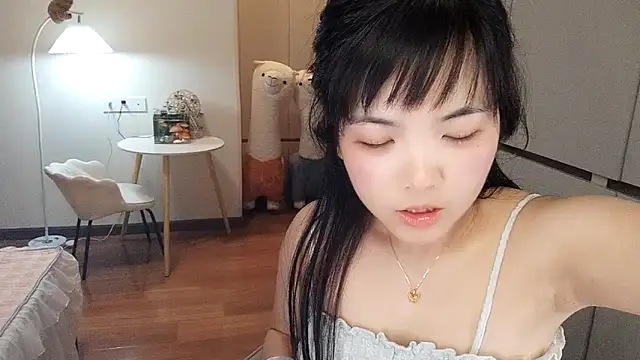 XiaoAnQi