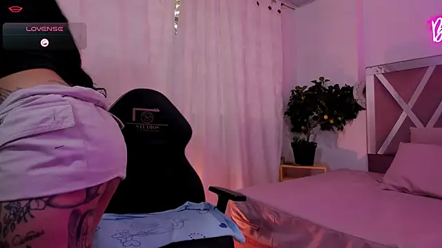 HISIS_TAY