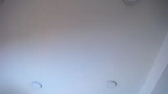 Pamela_Johnsn