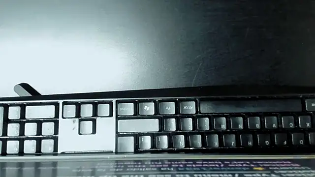 ScarletHoot_