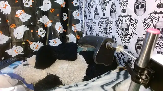 kattislut77