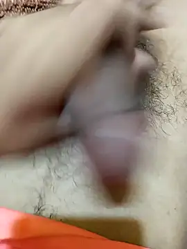 saneer69tew