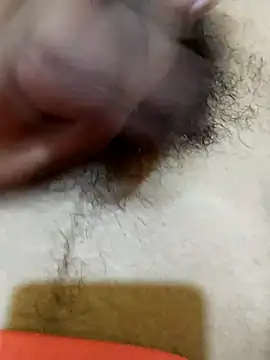 saneer69tew