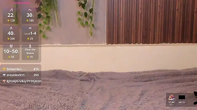 Dakotaferreti