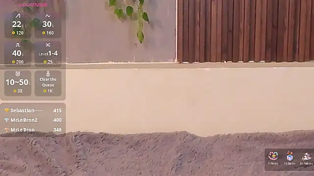 Dakotaferreti