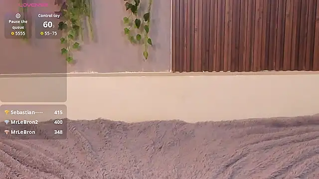 Dakotaferreti