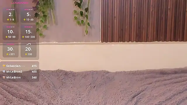 Dakotaferreti