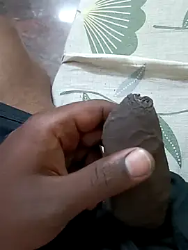 indian_pavi