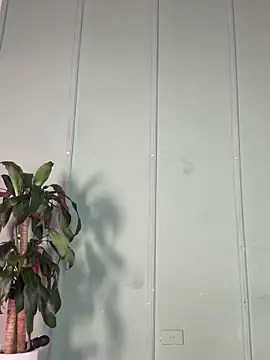 alexa  blue