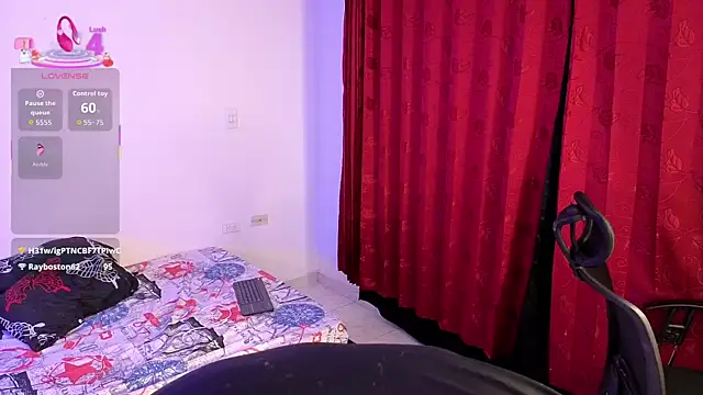 Dulozweb