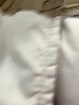 LikaCat
